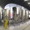 Serbatoio di fermentazione della birra conica con camicia da 1000 litri e isolato in vendita