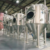 Linea di produzione di birra conica SS 304 a doppia parete da 500 litri con riscaldamento elettrico e a vapore